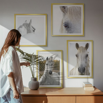 Ensemble de 4 tableaux Chevaux blancs