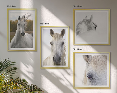 Ensemble de 4 tableaux Chevaux blancs