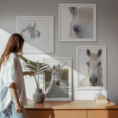 Ensemble de 4 tableaux Chevaux blancs