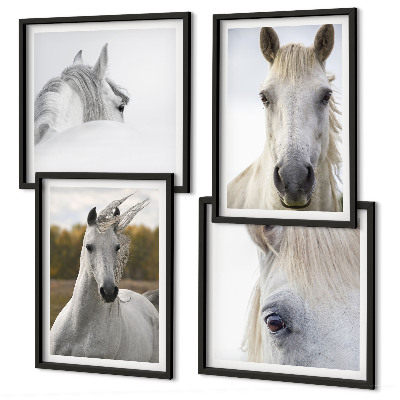 Ensemble de 4 tableaux Chevaux blancs