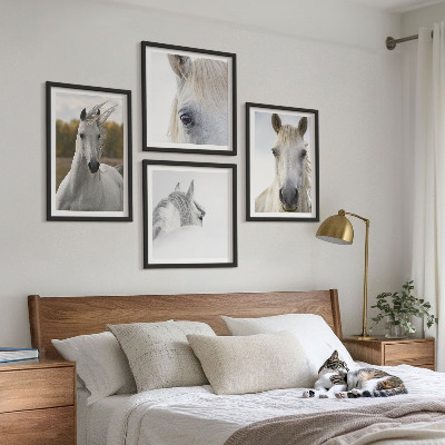Ensemble de 4 tableaux Chevaux blancs