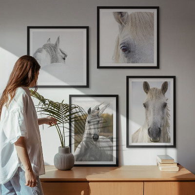 Ensemble de 4 tableaux Chevaux blancs