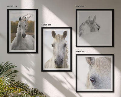 Ensemble de 4 tableaux Chevaux blancs