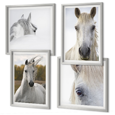 Ensemble de 4 tableaux Chevaux blancs