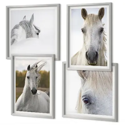 Chevaux blancs ensemble de 4 tableaux