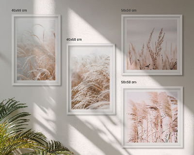 Ensemble de 4 tableaux Des champs d'herbe dans des tons de brun et de beige