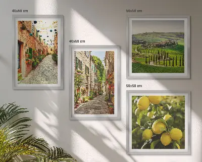 Ensemble de 4 tableaux représentant de charmantes rues bordées de citronniers en fleurs
