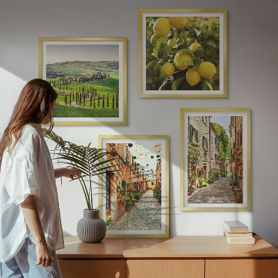 Ensemble de 4 tableaux De charmantes rues bordées de citronniers en fleurs