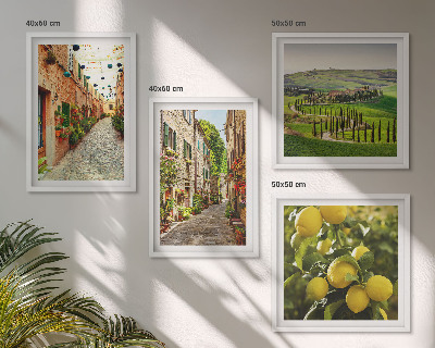 Ensemble de 4 tableaux De charmantes rues bordées de citronniers en fleurs