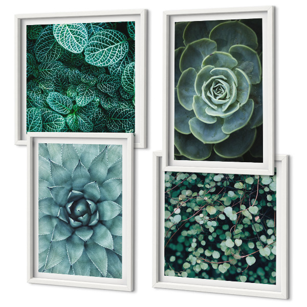 Ensemble de 4 tableaux Plantes succulentes vertes et turquoise