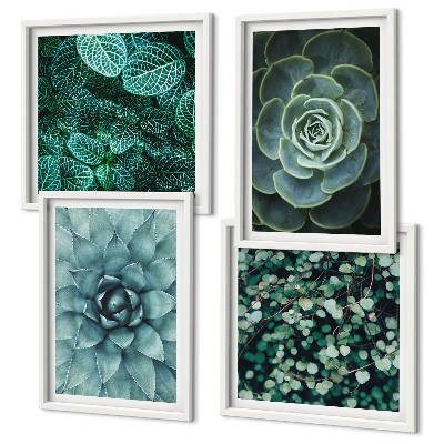Ensemble de 4 tableaux Plantes succulentes vertes et turquoise