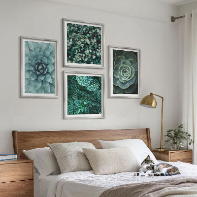 Ensemble de 4 tableaux Plantes succulentes vertes et turquoise