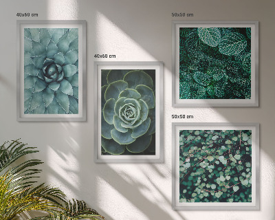 Ensemble de 4 tableaux Plantes succulentes vertes et turquoise