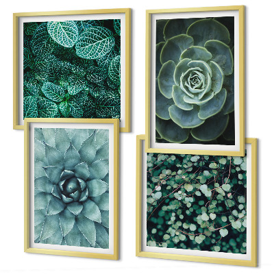 Ensemble de 4 tableaux Plantes succulentes vertes et turquoise