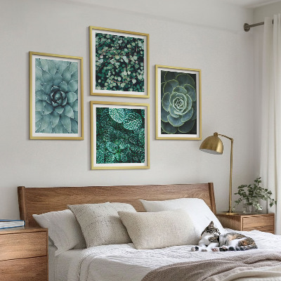 Ensemble de 4 tableaux Plantes succulentes vertes et turquoise