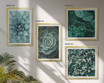 Ensemble de 4 tableaux Plantes succulentes vertes et turquoise