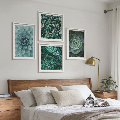 Ensemble de 4 tableaux Plantes succulentes vertes et turquoise