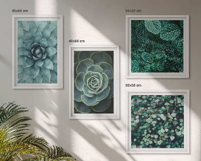 Ensemble de 4 tableaux Plantes succulentes vertes et turquoise