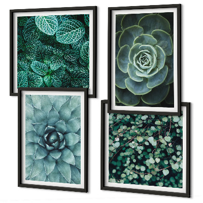 Ensemble de 4 tableaux Plantes succulentes vertes et turquoise