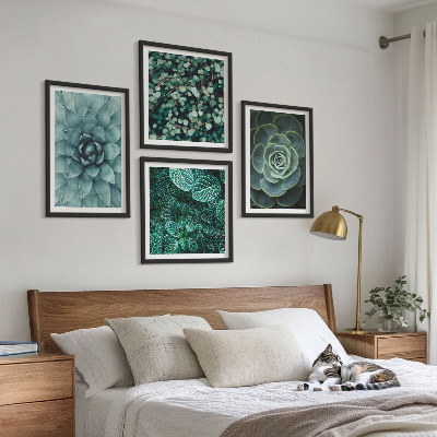 Ensemble de 4 tableaux Plantes succulentes vertes et turquoise