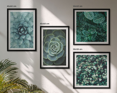 Ensemble de 4 tableaux Plantes succulentes vertes et turquoise