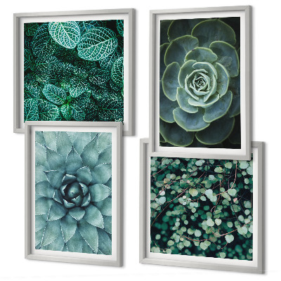 Ensemble de 4 tableaux Plantes succulentes vertes et turquoise