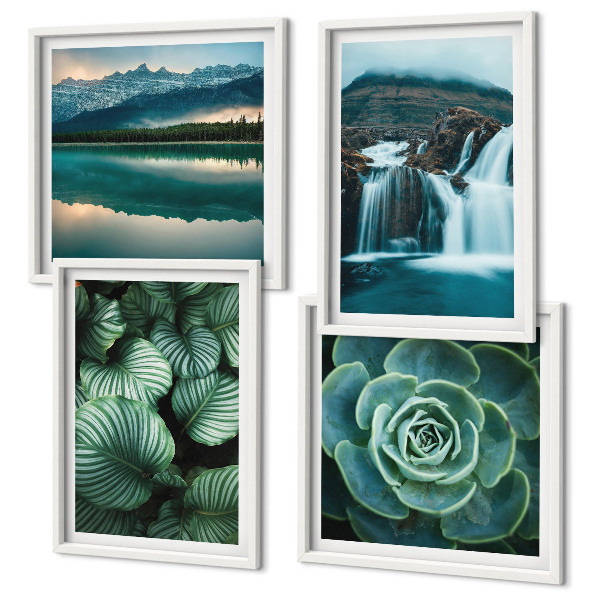 Mur de tableaux Gros plans de feuilles de plantes succulentes