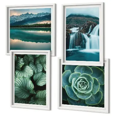 Mur de tableaux avec gros plans de feuilles de plantes succulentes