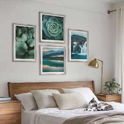 Mur de tableaux Gros plans de feuilles de plantes succulentes