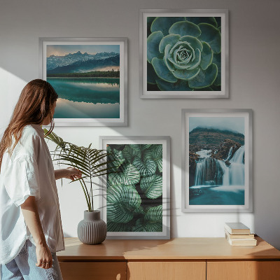 Mur de tableaux Gros plans de feuilles de plantes succulentes