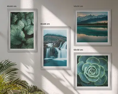 Mur de tableaux avec gros plans de feuilles de plantes succulentes