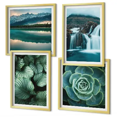 Mur de tableaux avec gros plans de feuilles de plantes succulentes