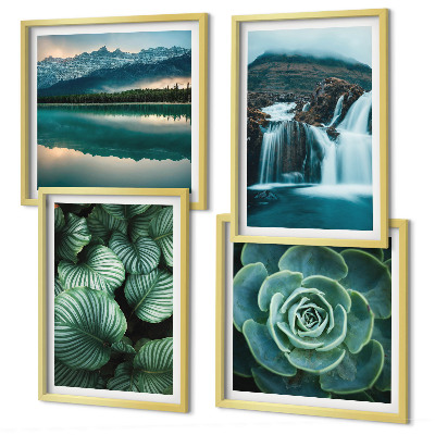 Mur de tableaux Gros plans de feuilles de plantes succulentes
