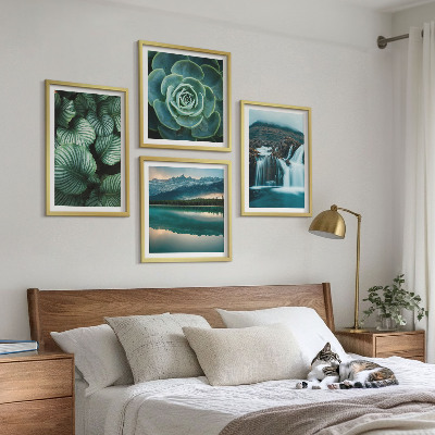 Mur de tableaux Gros plans de feuilles de plantes succulentes
