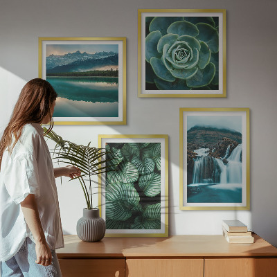 Mur de tableaux Gros plans de feuilles de plantes succulentes