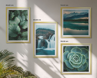 Mur de tableaux Gros plans de feuilles de plantes succulentes
