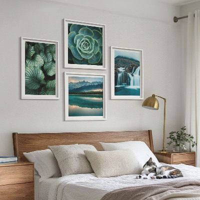 Mur de tableaux Gros plans de feuilles de plantes succulentes
