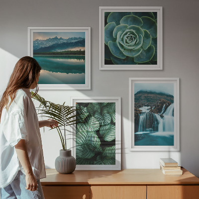 Mur de tableaux Gros plans de feuilles de plantes succulentes