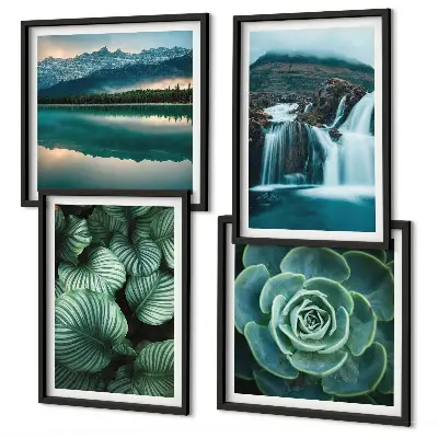 Mur de tableaux avec gros plans de feuilles de plantes succulentes