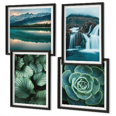 Mur de tableaux Gros plans de feuilles de plantes succulentes