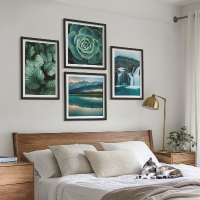 Mur de tableaux Gros plans de feuilles de plantes succulentes