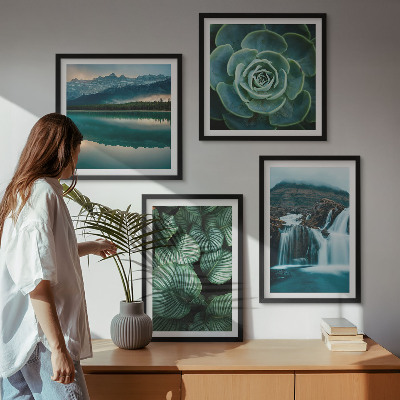Mur de tableaux Gros plans de feuilles de plantes succulentes