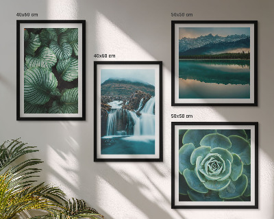 Mur de tableaux Gros plans de feuilles de plantes succulentes