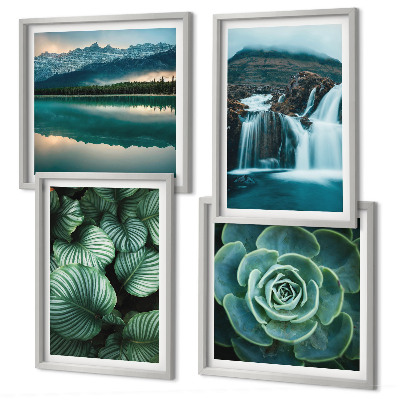 Mur de tableaux Gros plans de feuilles de plantes succulentes