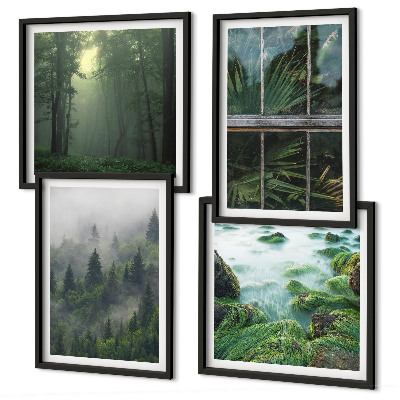 Polyptyque z cadres Plantes de serre de la rivière du brouillard forestier