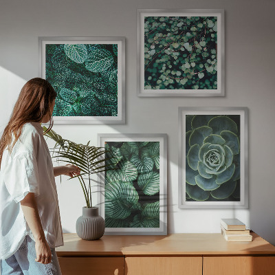 Mur de tableaux Feuilles vertes de plantes succulentes élégantes