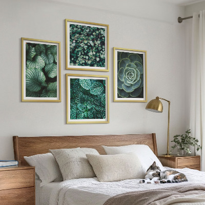 Mur de tableaux Feuilles vertes de plantes succulentes élégantes