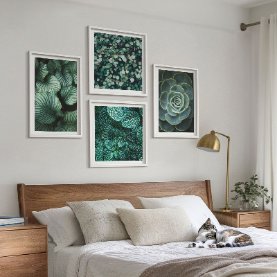 Mur de tableaux Feuilles vertes de plantes succulentes élégantes