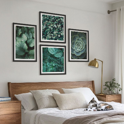 Mur de tableaux Feuilles vertes de plantes succulentes élégantes