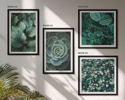 Mur de tableaux Feuilles vertes de plantes succulentes élégantes